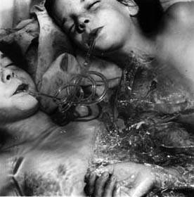 Frances Murray, Dream Cord