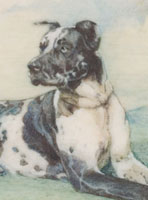 1995-62-7