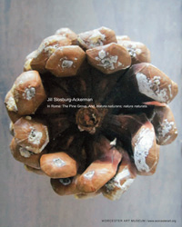 in rome book cover