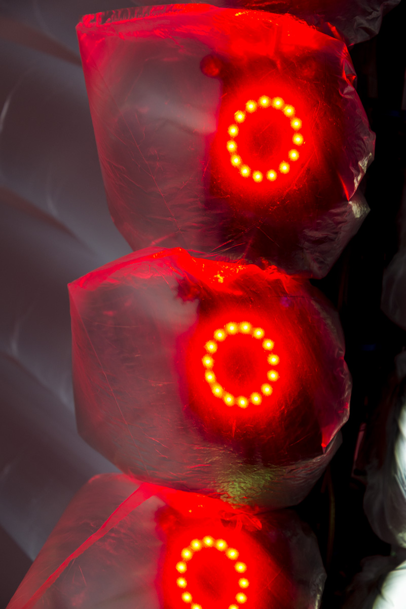 Shih Chieh Huang, VT-34-BTB (red angel eye), 2017, 12 x 13 x 3 feet, mixed media, photo: Megan Paetzhold, Courtesy of the artist and Ronald Feldman Fine Arts, New York